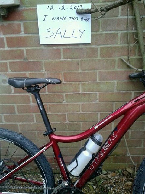 Sally named.jpg