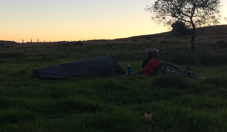 MaM hiding from the wind - the smarter of the two