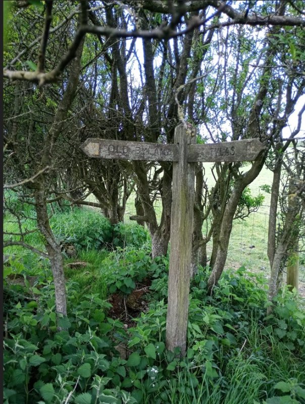 fingerpost.jpg