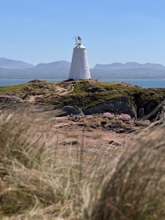 IMG_1520.jpeg
